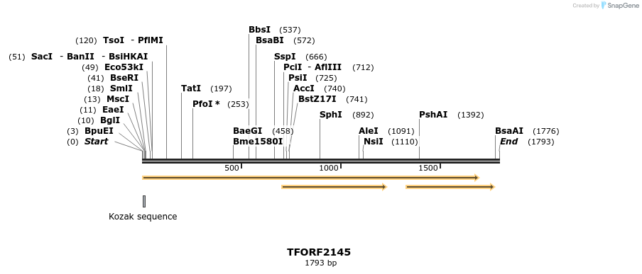 277960_map