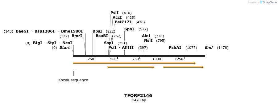 277963_map