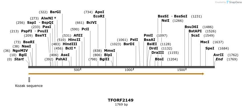 277966_map