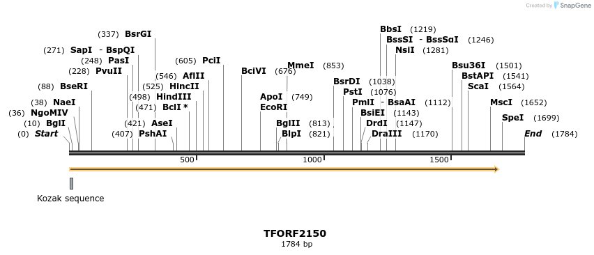 277969_map
