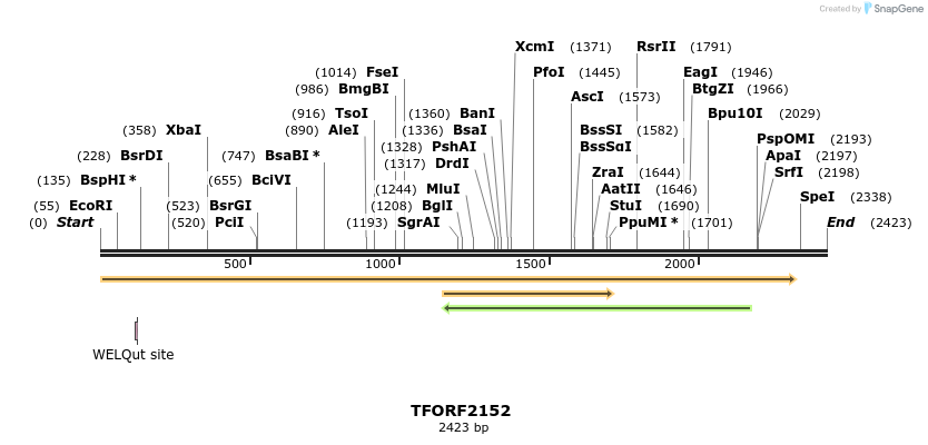 277972_map