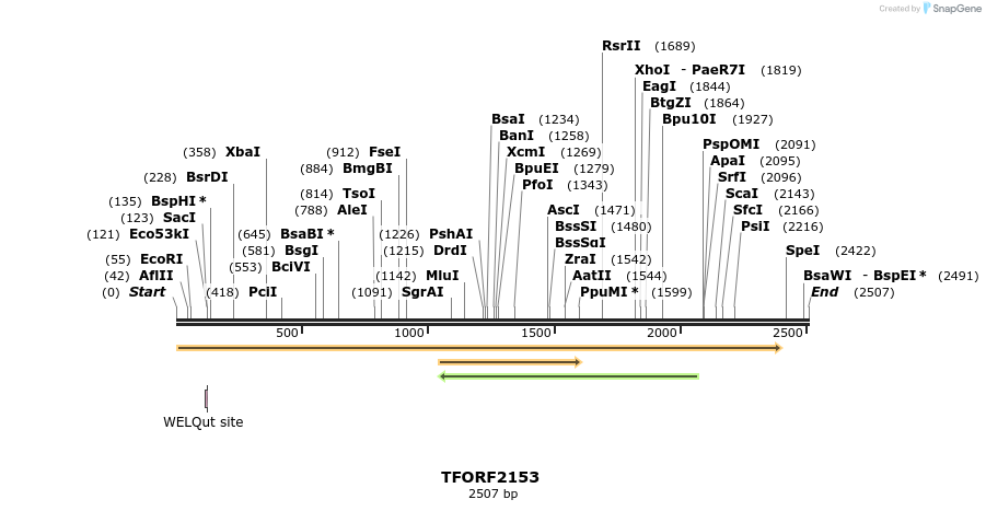 277975_map