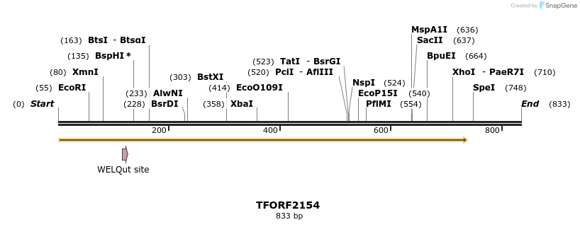 277978_map