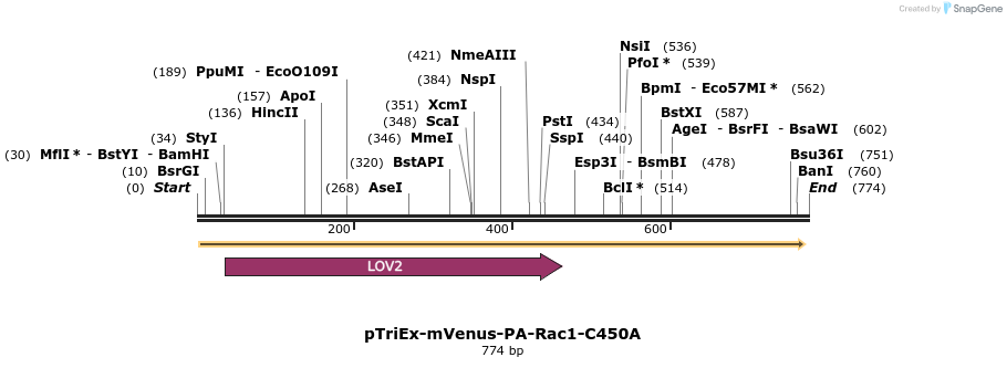 27798_map
