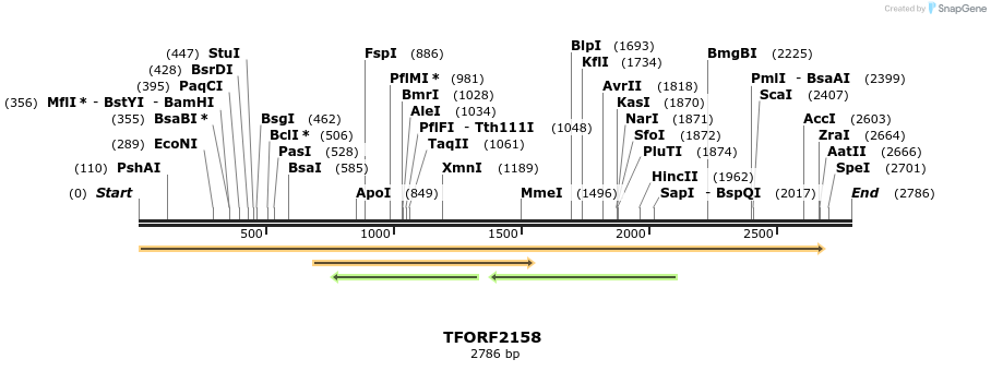 277984_map
