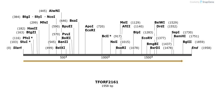 277987_map