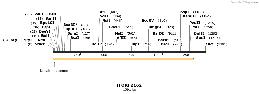 277990_map