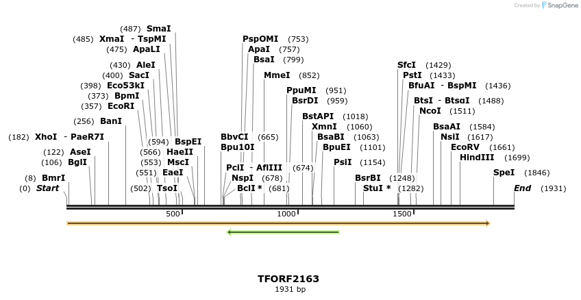 277993_map