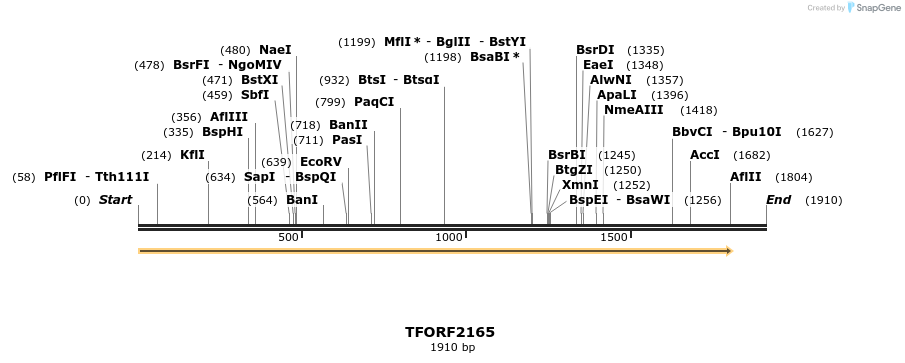 277996_map