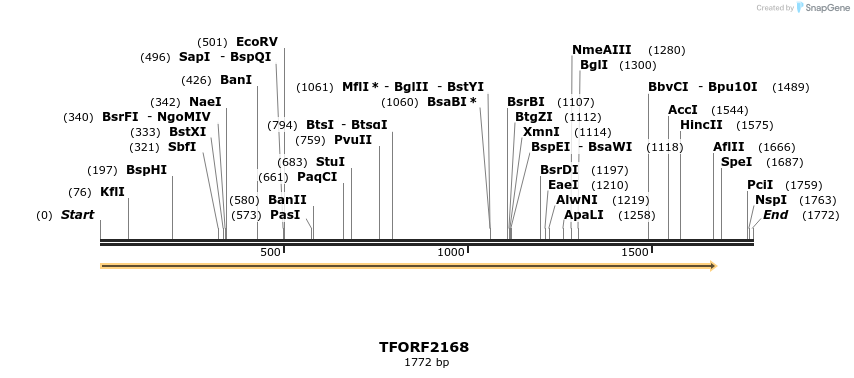 277999_map