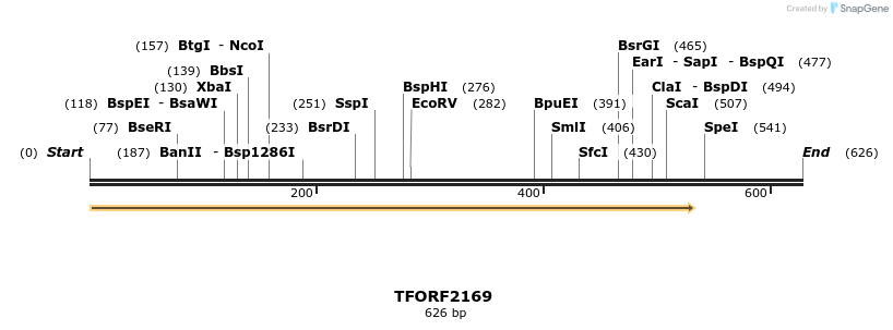 278002_map