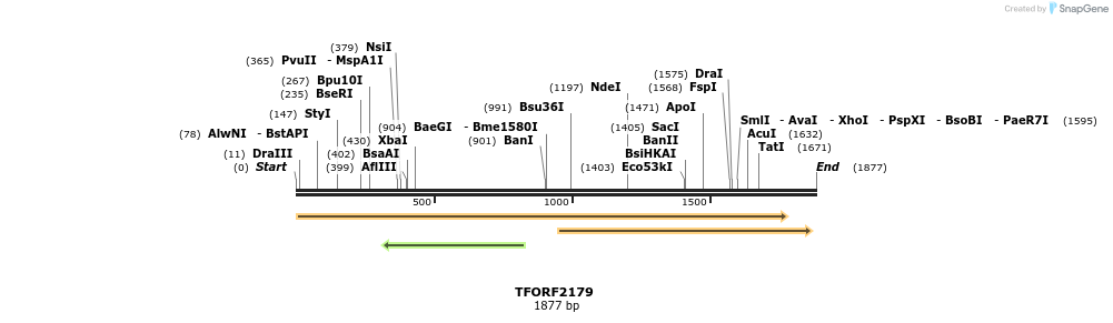 278008_map