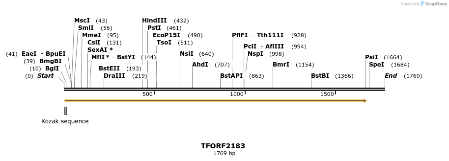 278011_map