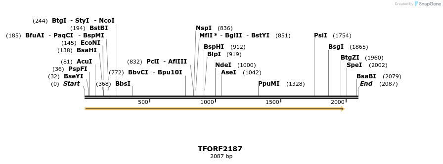 278017_map