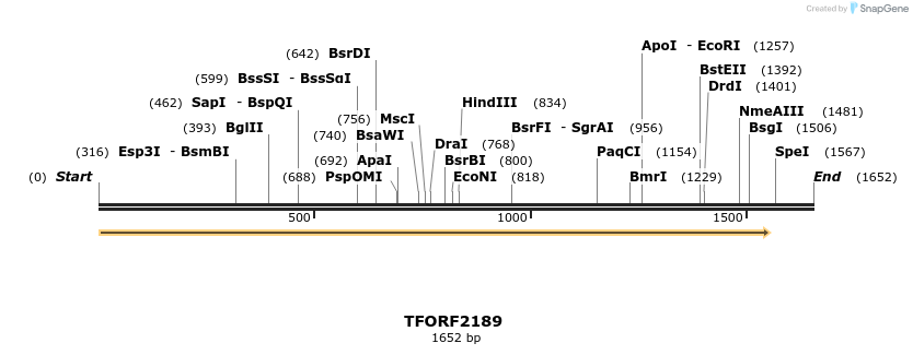 278020_map
