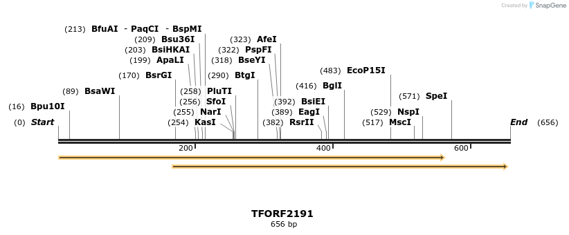 278023_map
