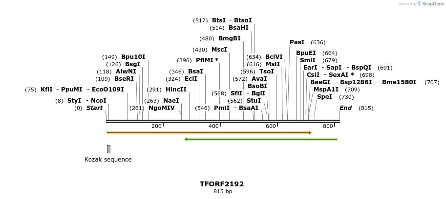 278026_map