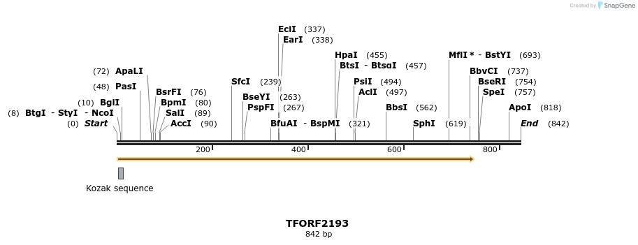 278029_map