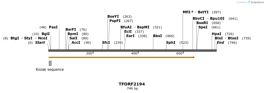 278032_map