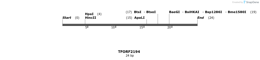 278033_map