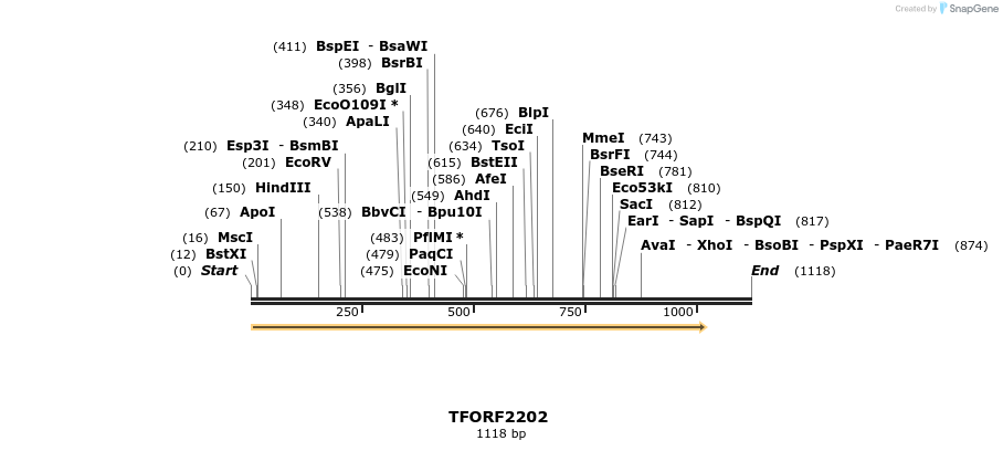 278041_map