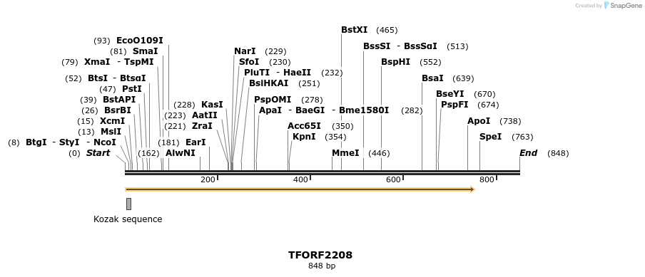 278044_map