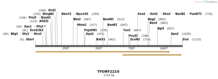 278047_map