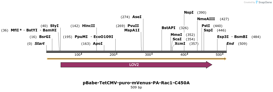 27805_map