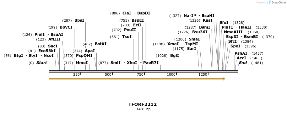 278053_map