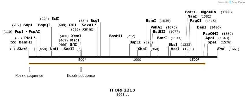 278056_map
