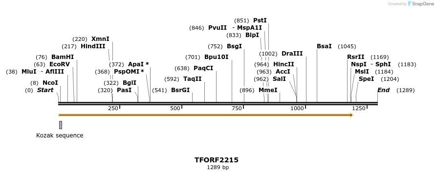 278059_map