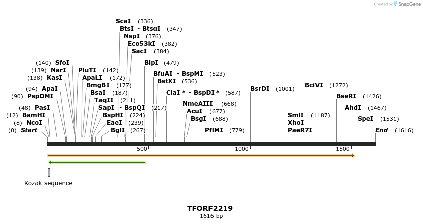 278062_map