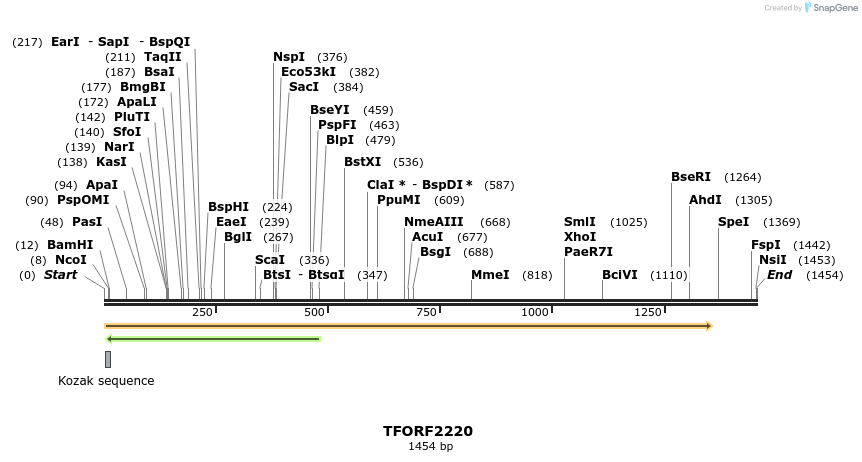 278065_map