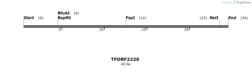 278066_map