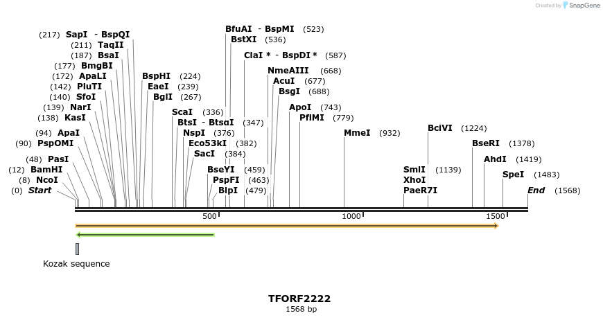 278068_map