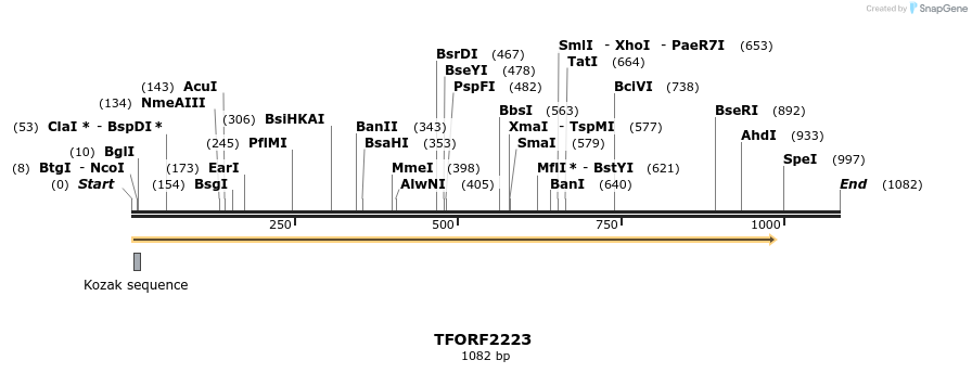 278071_map