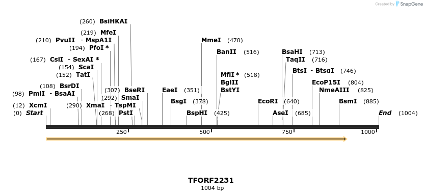 278074_map