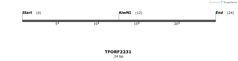 278075_map