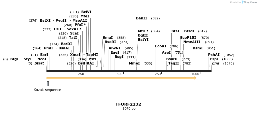 278077_map
