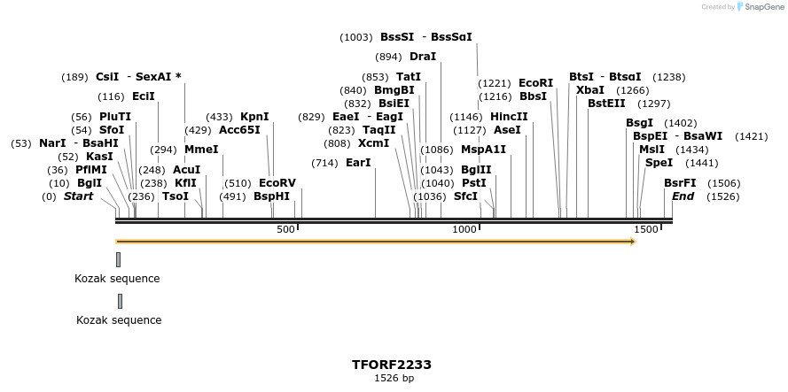 278080_map