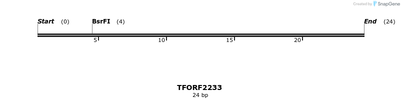 278081_map