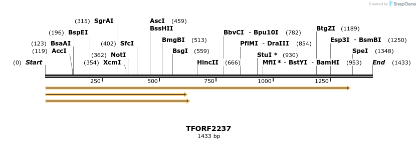 278086_map