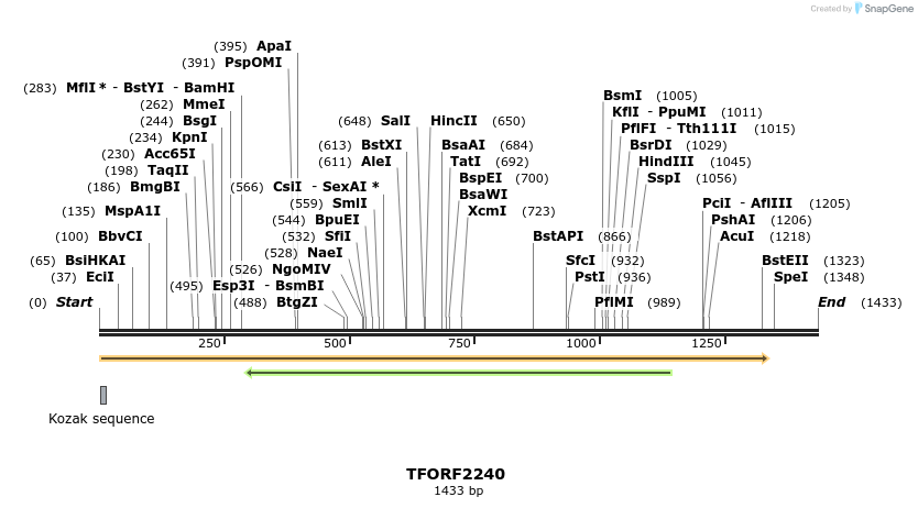 278089_map