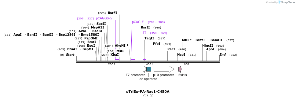 27809_map