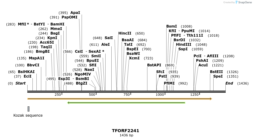 278092_map