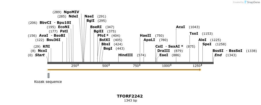 278095_map