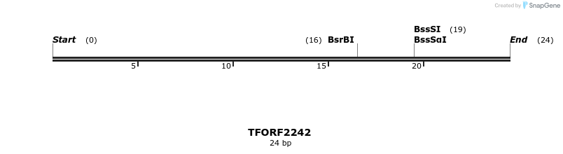 278096_map