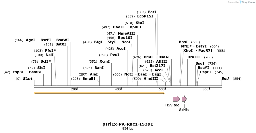 27810_map