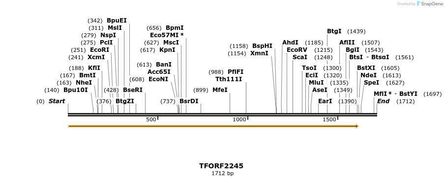 278101_map