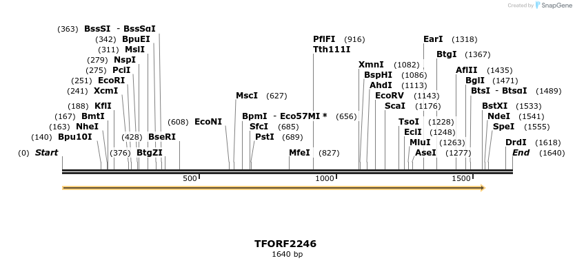 278104_map
